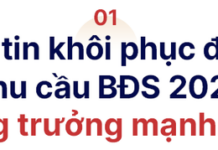 Dr. Nguyen Van Dinh: Real Estate to Witness Astonishing Growth in 2025