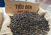 Vietnam’s Agricultural Exports to the U.S. Poised for Growth with Reciprocal Tax Exemption