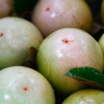 Vietnam’s “Cash Crop” Fruit Gains First-Ever U.S. Import Approval