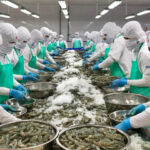 Will Export Revenue Break Records?