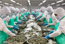 Will Export Revenue Break Records?