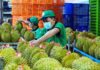 Vietnam’s Billion-Dollar Economy Sets a New Record