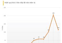Massive 85% Cash Dividend Payout Announced by Company Following Record-Breaking Profit Surge