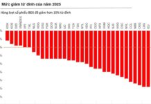 Vingroup Stock Adjustment: A Real Estate Group’s Market Test