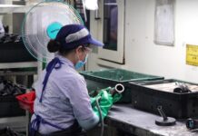 Securing Guaranteed Paid Leave for Employees: A Comprehensive Guide