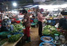 Fresh Vegetables in Da Nang Face Shortage, Prices Surge 2–3 Times Higher