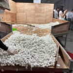 Unveiling the Secrets of Bầu Đức’s Silk Factory: Exporting Premium Silk at $70/kg