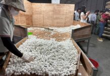 Unveiling the Secrets of Bầu Đức’s Silk Factory: Exporting Premium Silk at $70/kg