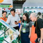 Empowering Shrimp and Rice Value Chains: VCCI Enhances Market Connectivity and Global Reach for Businesses and Cooperatives