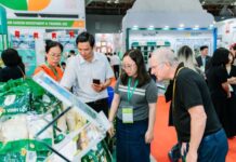 Empowering Shrimp and Rice Value Chains: VCCI Enhances Market Connectivity and Global Reach for Businesses and Cooperatives