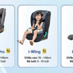 Breaking News: Traffic Police Department Issues Urgent Update on Critical Road Safety Concerns Affecting Millions of Commuters