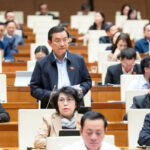 Streamlining Business: Eliminating 50 Conditional Industries and Professions