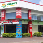 Angimex Outlines 2026 Restructuring Plan, Presents Debt Resolution Strategies for Hundreds of Billions