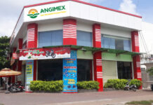 Angimex Outlines 2026 Restructuring Plan, Presents Debt Resolution Strategies for Hundreds of Billions