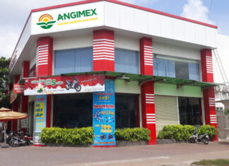 Angimex Outlines 2026 Restructuring Plan, Presents Debt Resolution Strategies for Hundreds of Billions