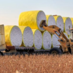 US Spends Over $16 Billion to Acquire Vietnam’s Third-Largest ‘Gold Mine’ Globally: Vietnam Exports to 2/3 of the World, with 3 Asian Giants Dominating the Global Market