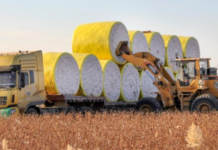 US Spends Over $16 Billion to Acquire Vietnam’s Third-Largest ‘Gold Mine’ Globally: Vietnam Exports to 2/3 of the World, with 3 Asian Giants Dominating the Global Market