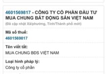 Vietnamese Real Estate Crowdfunding CEO Accused of High-Interest Investment Scam