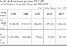 Bamboo Capital Anticipates Losses Until 2027, Unveils Comprehensive Restructuring Plan