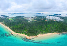 Unveiling the Green Gem: Quang Ninh’s Ambitious Plan to Build a Sea-Crossing Bridge in the Heart of Bac Bo Gulf