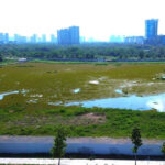 Can the New Land Price List Facilitate Easier Compensation and Land Clearance in Ho Chi Minh City?