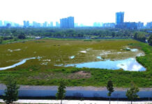 Can the New Land Price List Facilitate Easier Compensation and Land Clearance in Ho Chi Minh City?