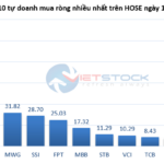 Tracking the Whale Money Flow on 11/12: VN-Index Drops Below 1,700, Foreign and Proprietary Trading Capital Shift Directions
