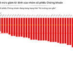 Unlocking Growth: IPOs, Post-Upgrade Capital Raises, and Investor Concerns