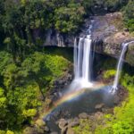 CT Group Unveils $200 Million Annual “Carbon Goldmine” Breakthrough