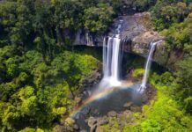 CT Group Unveils $200 Million Annual “Carbon Goldmine” Breakthrough