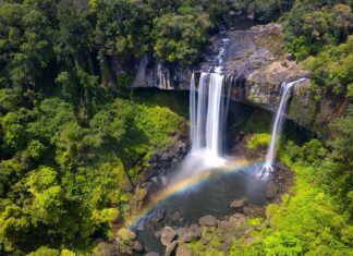 CT Group Unveils $200 Million Annual “Carbon Goldmine” Breakthrough