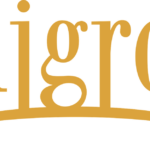 The Curious Case of Nguyen Duc Thuy: A Billion-Dollar Trail Leading to LPBank, Hoang Anh Gia Lai, and Hung Thinh’s Rebranding