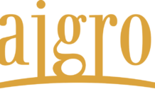 The Curious Case of Nguyen Duc Thuy: A Billion-Dollar Trail Leading to LPBank, Hoang Anh Gia Lai, and Hung Thinh’s Rebranding