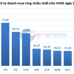 Tracking the Whale Money Flow on December 16: Proprietary Traders Inject Nearly 480 Billion, VN-Index Reverses with a 33-Point Surge