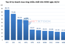 Tracking the Whale Money Flow on December 16: Proprietary Traders Inject Nearly 480 Billion, VN-Index Reverses with a 33-Point Surge