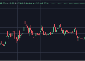 Surprising Surge in ‘Mountain Tycoon’ Stocks