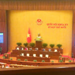 Gia Bình International Airport: A National Growth Catalyst and Breakthrough Hub