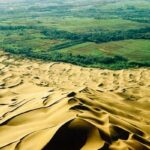 China’s Green Miracle: Planting 100 Billion Trees to Build a ‘Great Green Wall’ Halting Two Massive Deserts’ Expansion, Boosting Earth’s Forest Cover by 10%