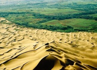 China’s Green Miracle: Planting 100 Billion Trees to Build a ‘Great Green Wall’ Halting Two Massive Deserts’ Expansion, Boosting Earth’s Forest Cover by 10%