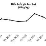 Pig Prices Surge 36% to $2.80/kg Amid Supply Shortages, Boosting Profits for High-Tech Farming Giants