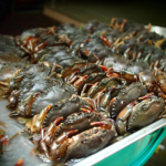 Vietnam’s Underwater Treasure ‘Swims’ to the U.S. and Japan: Exports Skyrocket Over 600%, World-Leading Quality in High Demand