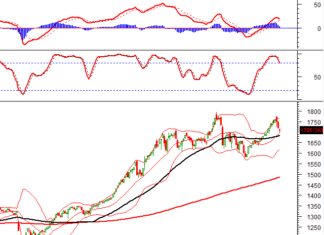 Technical Analysis Afternoon Session 11/12: Testing the Middle Line of Bollinger Bands?