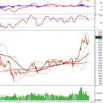 Vietstock Weekly 08-12/12/2025: Climbing Back to the Peak?