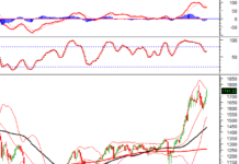 Vietstock Weekly 08-12/12/2025: Climbing Back to the Peak?