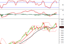 Technical Analysis for the Afternoon Session of December 12: Pessimism Persists