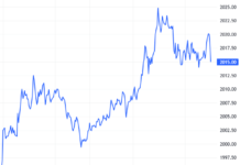 Derivatives Market on December 24, 2025: Optimistic Sentiment Persists