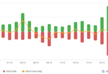 Vietstock Daily 25/12/2025: Scaling New Heights?