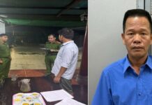 Arrest of a Company Director in Dong Nai