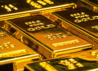 New Year Bonus Shock: 18,500 Employees Receive Pure Gold, 10 Lucky Winners to Travel to Antarctica