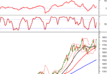 Technical Analysis for the Afternoon Session of December 23: Sustained Growth Continues